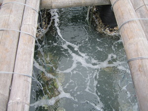 IMG_0759.JPG