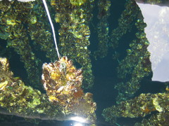 IMG_0766.JPG