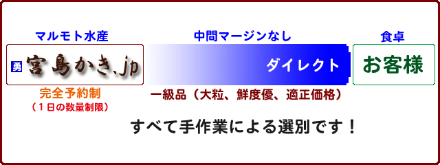 宮島かき-マルモト水産の牡蠣（カキ）出荷の流れ